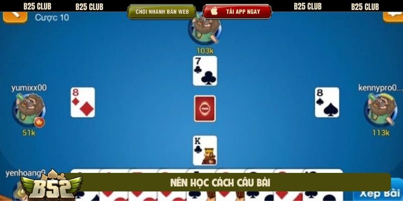 Nên học cách câu bài